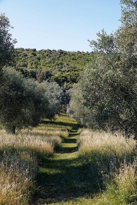 Design for wellbeing: benefits of sustainable architecture